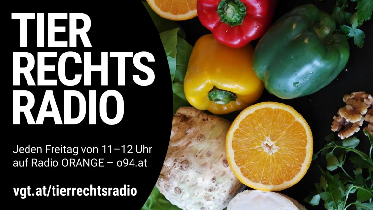 Bild zu dieser Radiosendung
