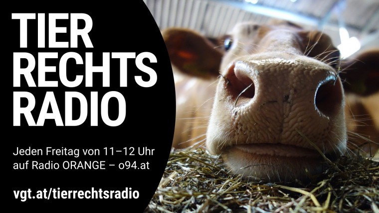 Bild zu dieser Radiosendung