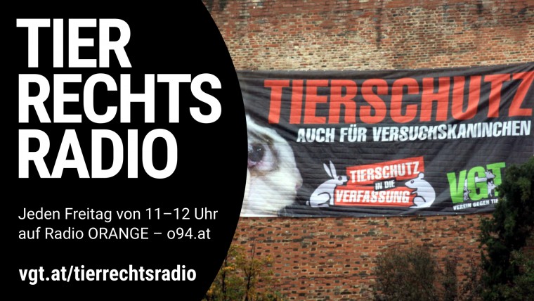 Bild zu dieser Radiosendung