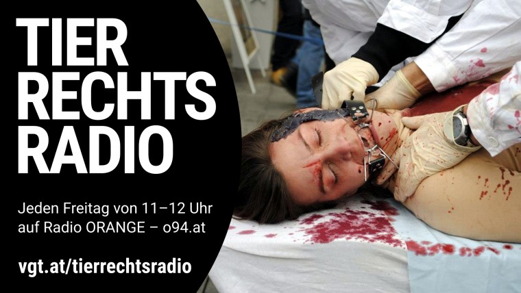 Bild zu dieser Radiosendung