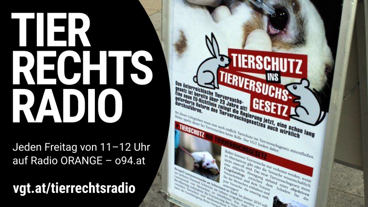 Bild zu dieser Radiosendung