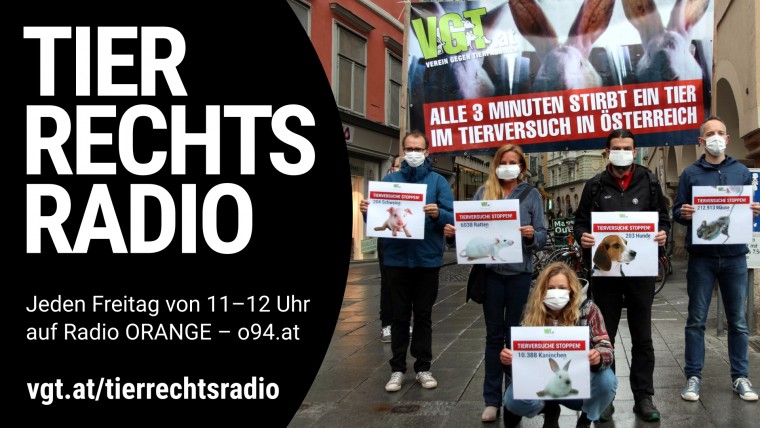 Bild zu dieser Radiosendung