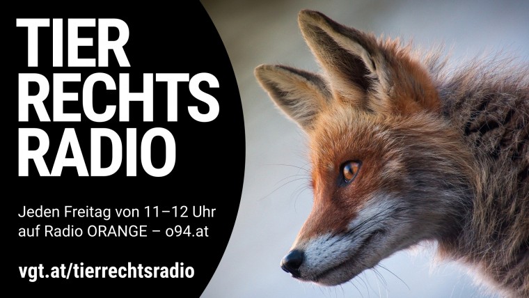 Bild zu dieser Radiosendung