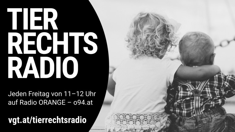 Bild zu dieser Radiosendung