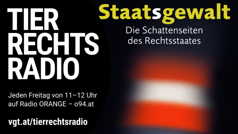 Bild zu dieser Radiosendung