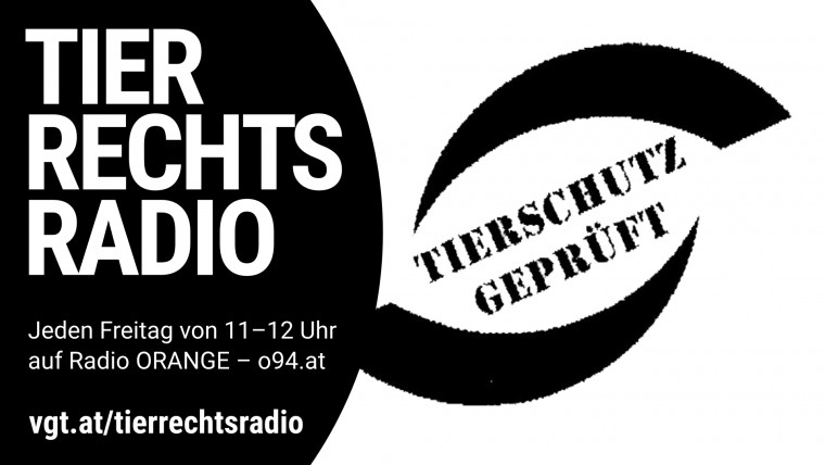Bild zu dieser Radiosendung