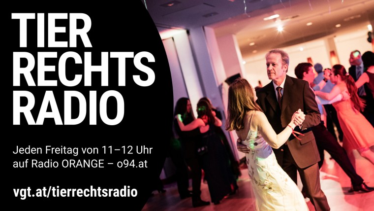 Bild zu dieser Radiosendung