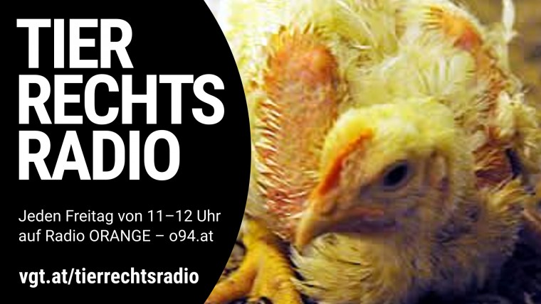 Bild zu dieser Radiosendung