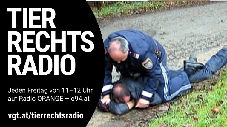 Bild zu dieser Radiosendung