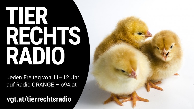 Bild zu dieser Radiosendung