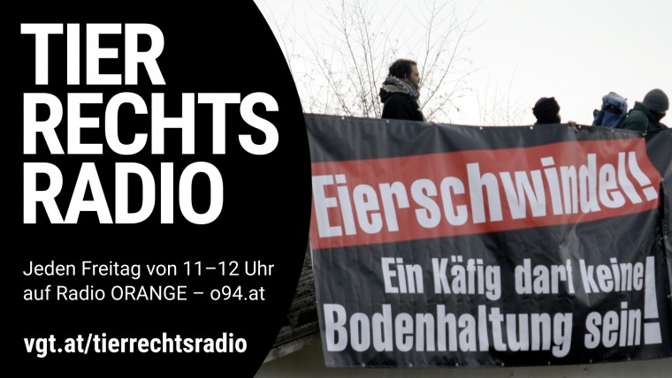 Bild zu dieser Radiosendung