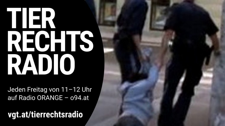 Bild zu dieser Radiosendung