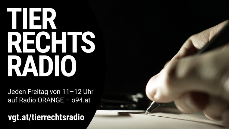 Bild zu dieser Radiosendung