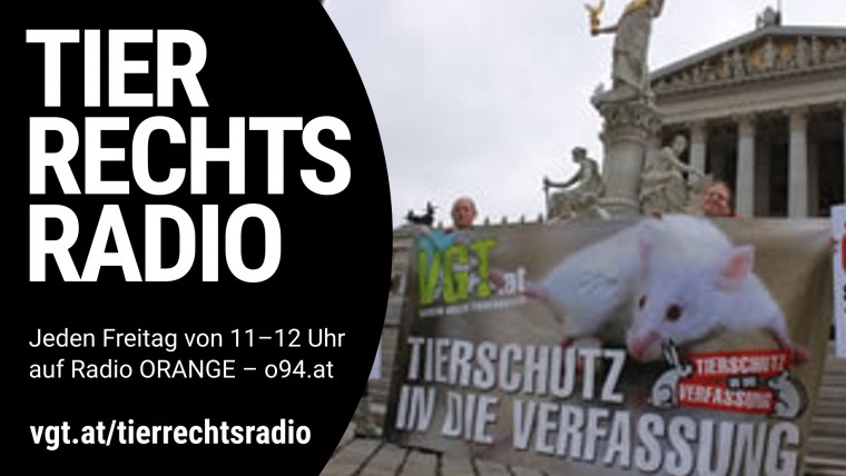 Bild zu dieser Radiosendung