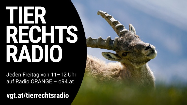 Bild zu dieser Radiosendung