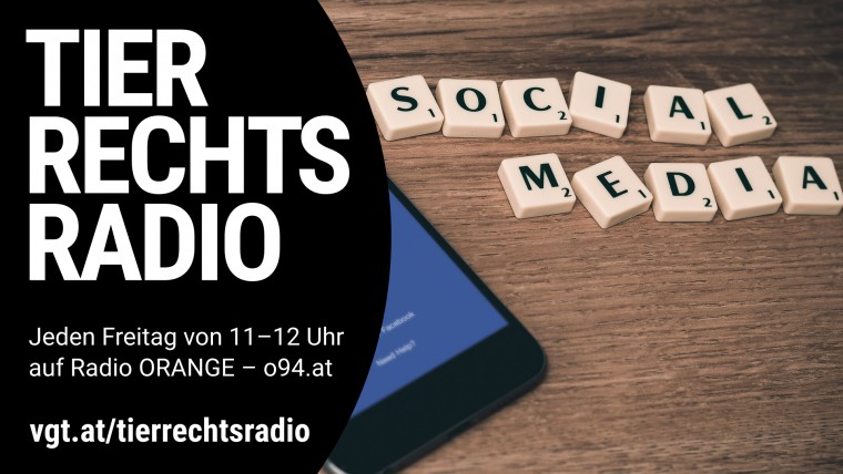 Bild zu dieser Radiosendung