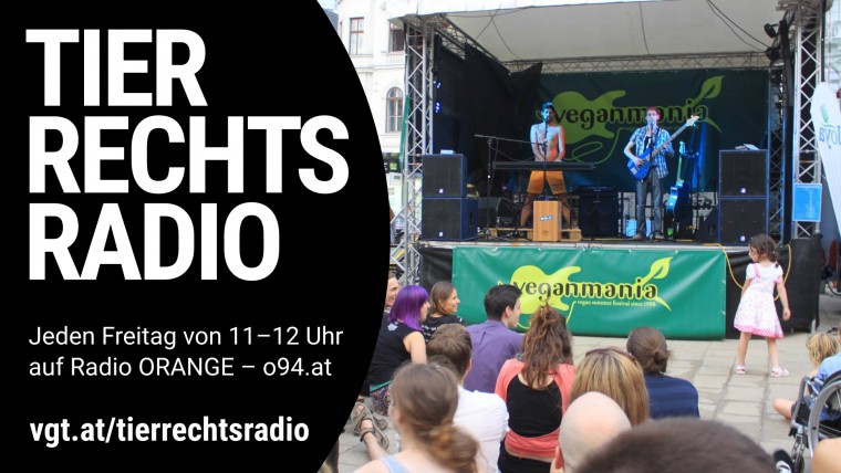 Bild zu dieser Radiosendung