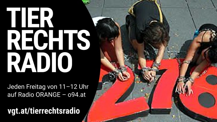 Bild zu dieser Radiosendung