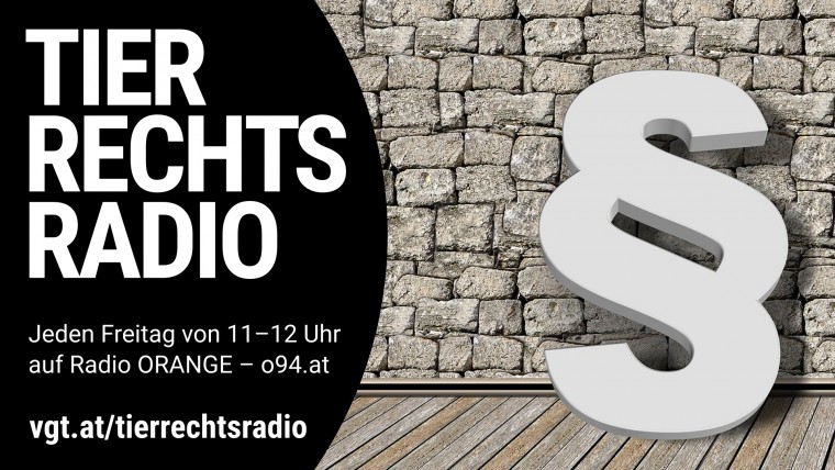 Bild zu dieser Radiosendung