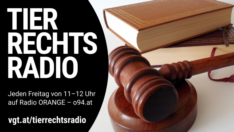 Bild zu dieser Radiosendung