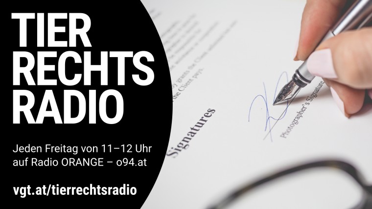 Bild zu dieser Radiosendung