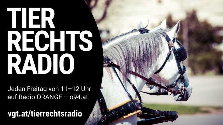 Bild zu dieser Radiosendung