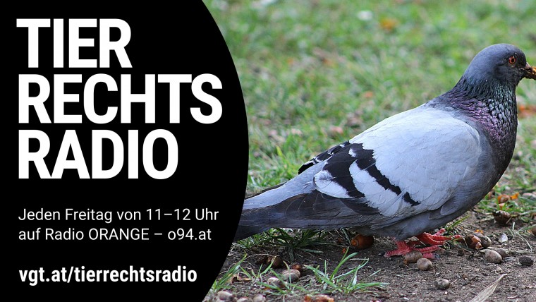 Bild zu dieser Radiosendung