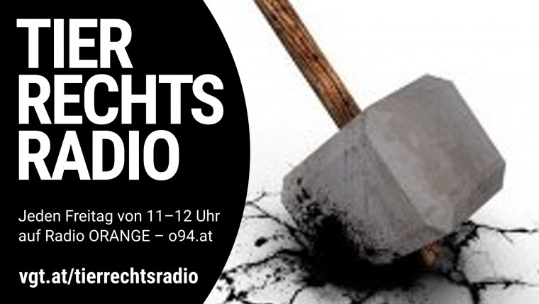 Bild zu dieser Radiosendung