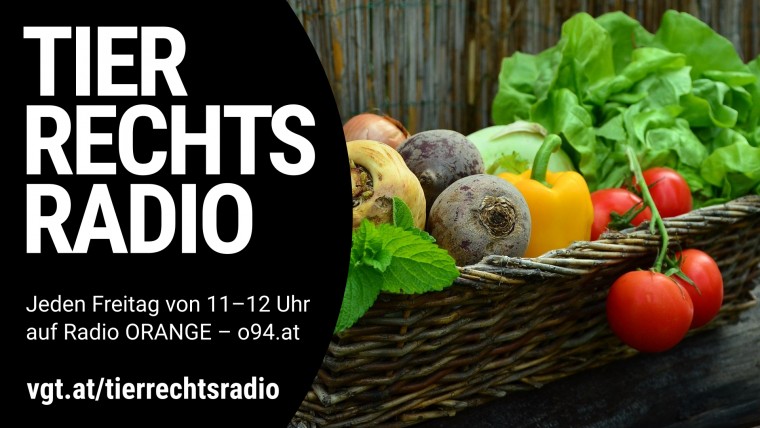 Bild zu dieser Radiosendung