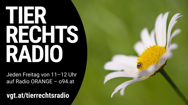 Bild zu dieser Radiosendung