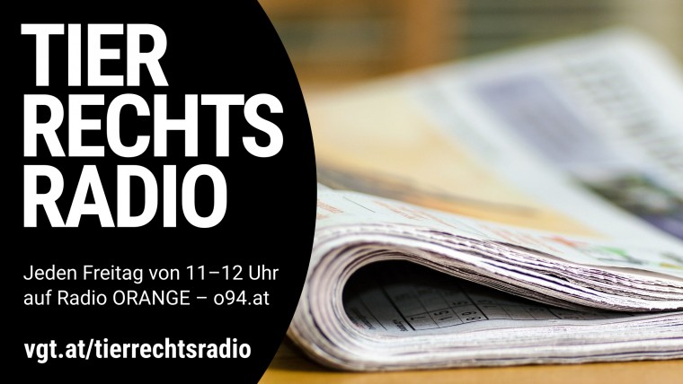 Bild zu dieser Radiosendung