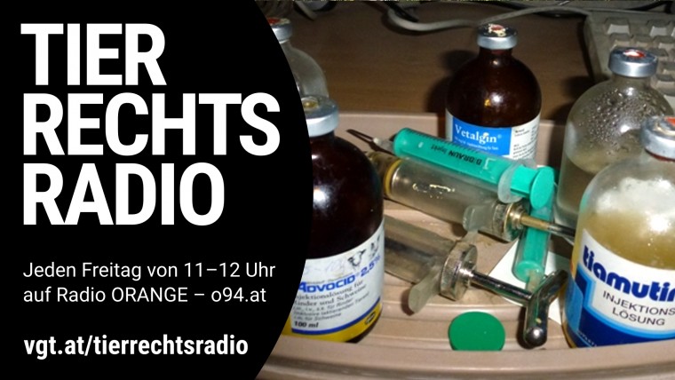 Bild zu dieser Radiosendung