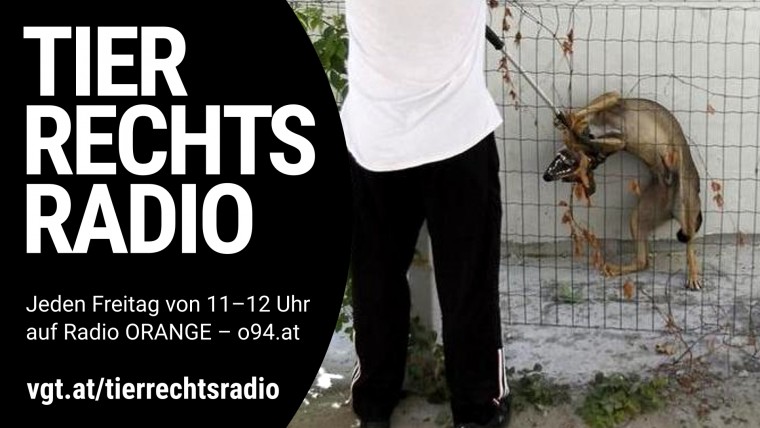 Bild zu dieser Radiosendung