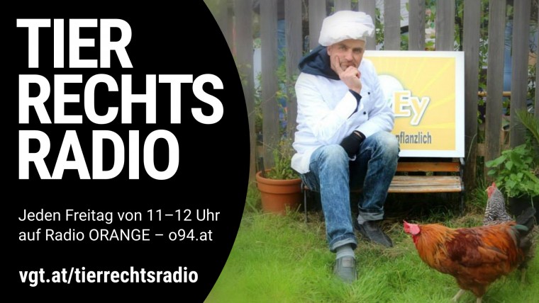Bild zu dieser Radiosendung