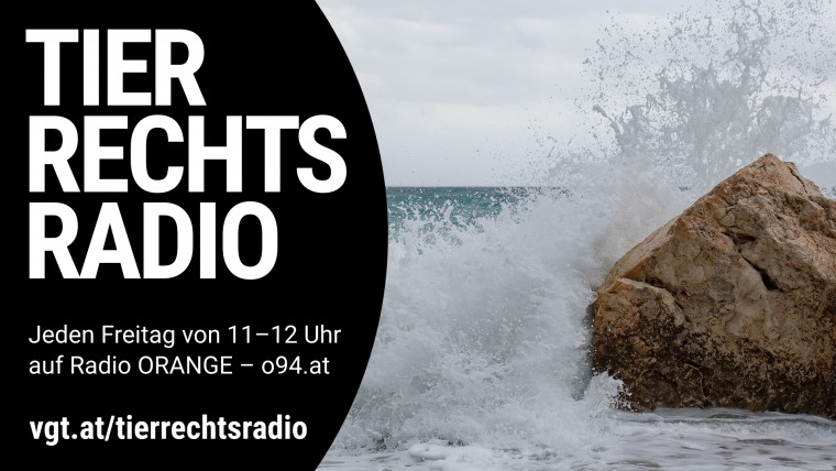Bild zu dieser Radiosendung