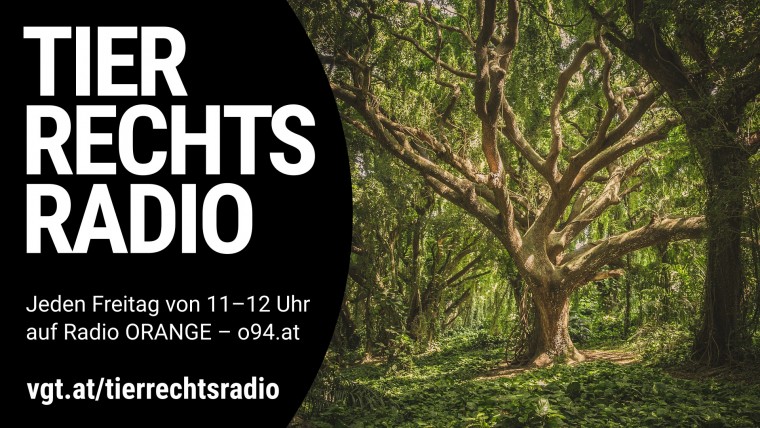 Bild zu dieser Radiosendung