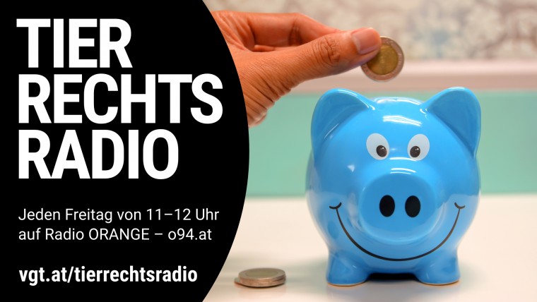 Bild zu dieser Radiosendung