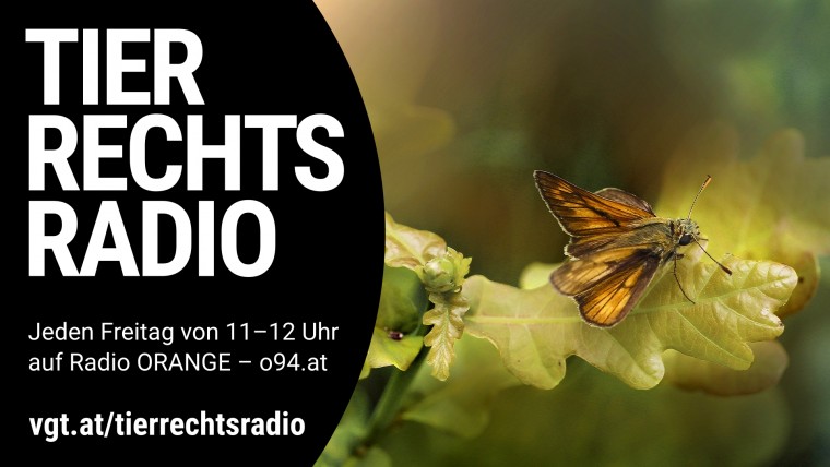 Bild zu dieser Radiosendung