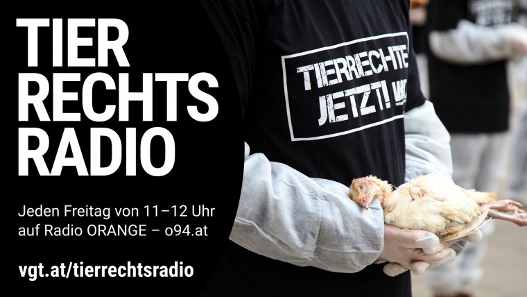 Bild zu dieser Radiosendung