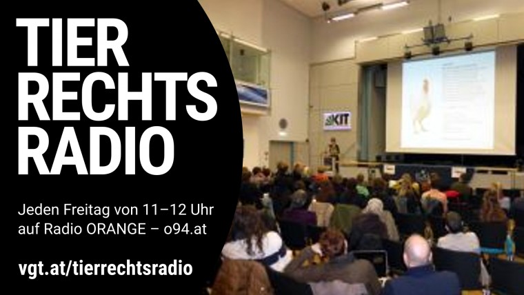 Bild zu dieser Radiosendung