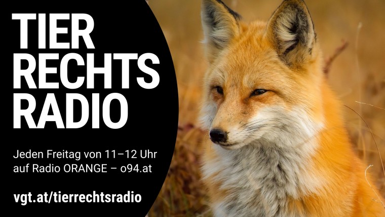 Bild zu dieser Radiosendung