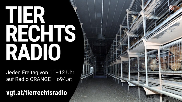 Bild zu dieser Radiosendung