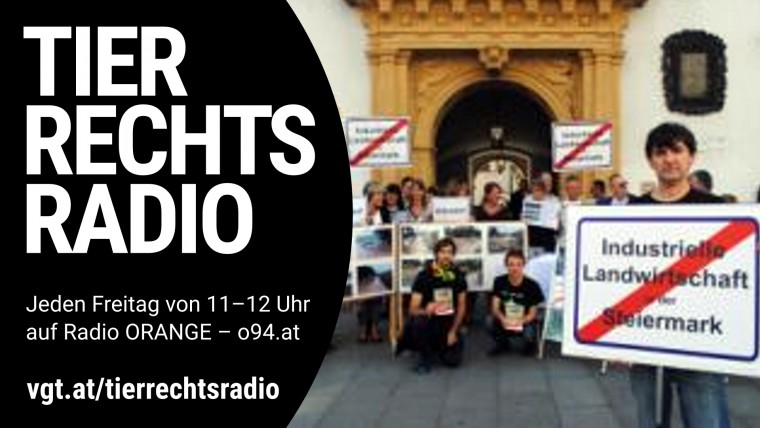 Bild zu dieser Radiosendung