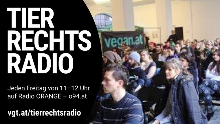 Bild zu dieser Radiosendung