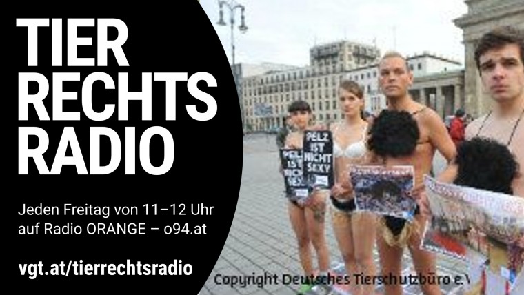 Bild zu dieser Radiosendung