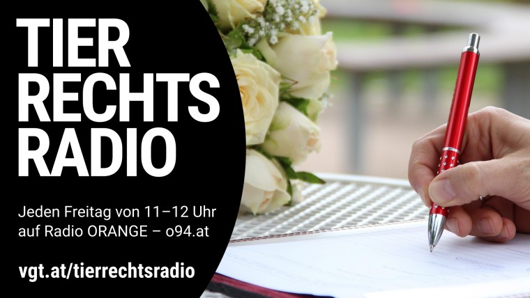 Bild zu dieser Radiosendung
