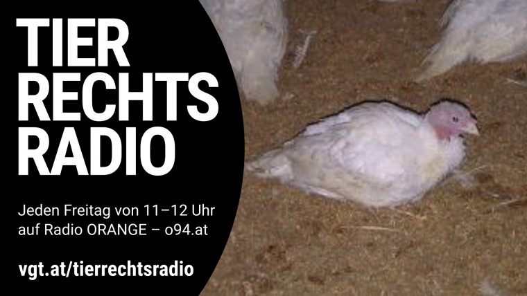 Bild zu dieser Radiosendung