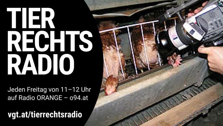 Bild zu dieser Radiosendung
