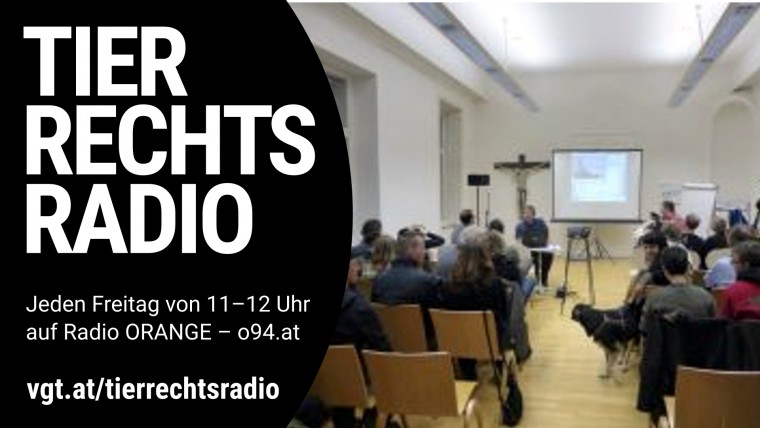 Bild zu dieser Radiosendung