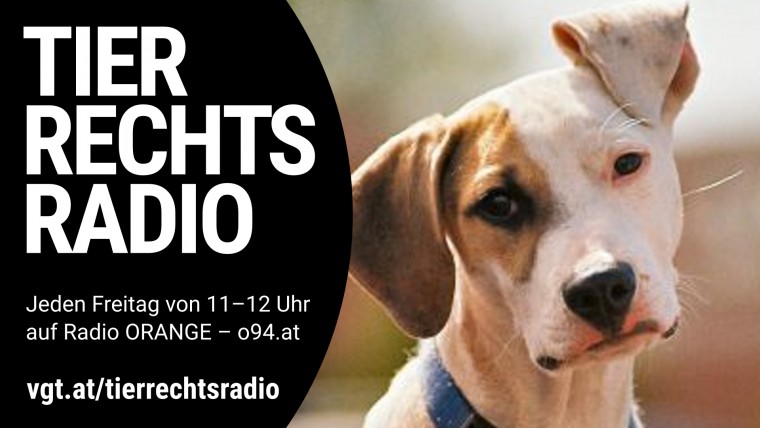 Bild zu dieser Radiosendung